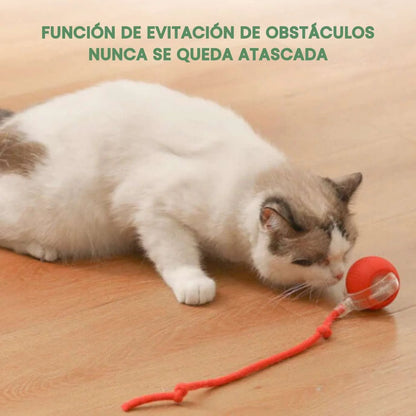 HappyPets™ l  Pelota Inteligente de aventura interactiva para mascotas