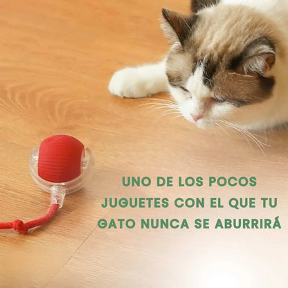 HappyPets™ l  Pelota Inteligente de aventura interactiva para mascotas